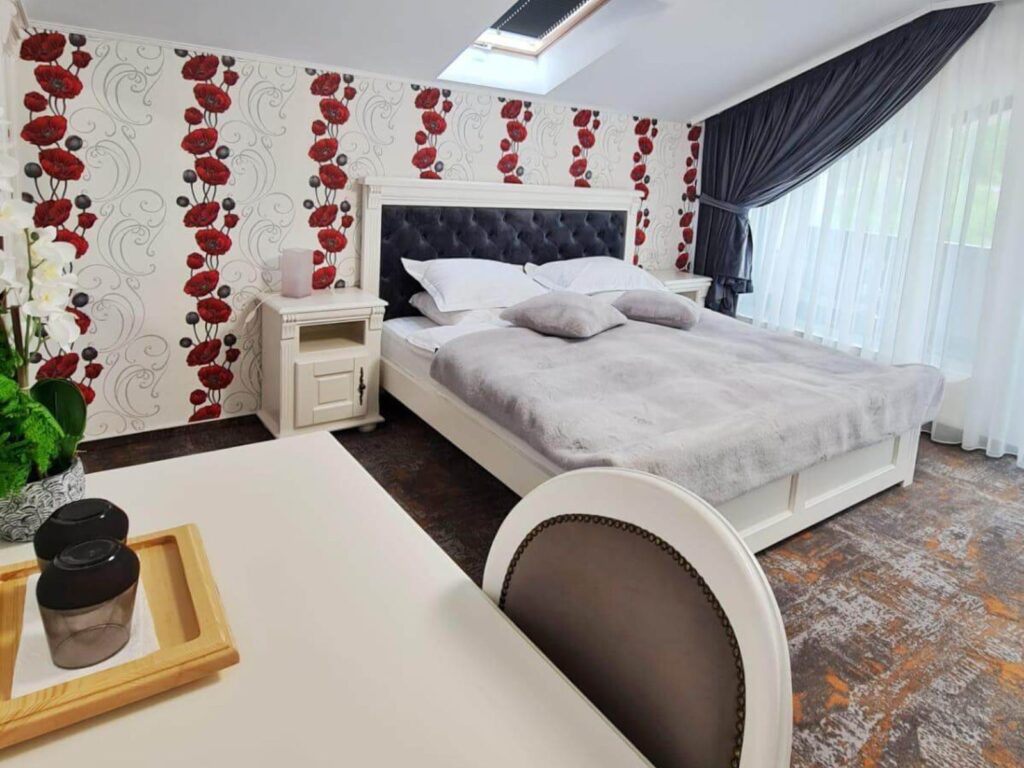 Cameră dublă cu balcon (2 ad și 1 copil) (10)