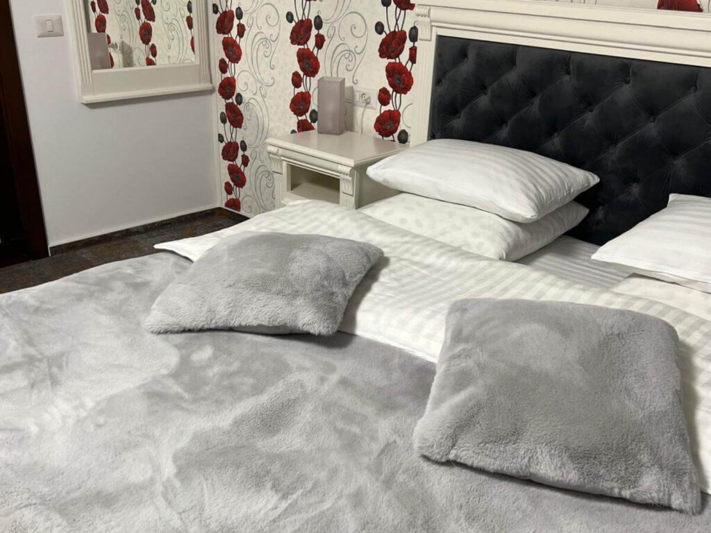 Cameră dublă cu balcon (2 ad și 1 copil) (2)