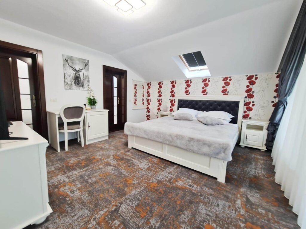 Cameră dublă cu balcon (2 ad și 1 copil) (9)