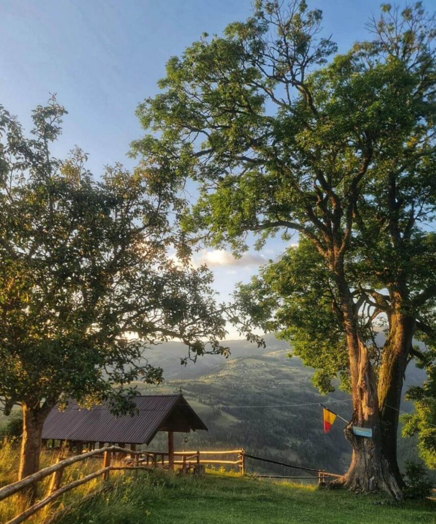 Casa lui Horea Fericet (4)