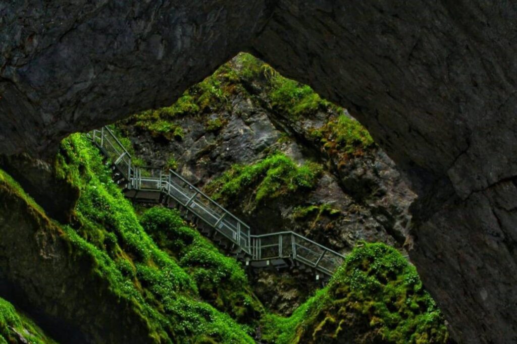 Ghețarul Scărișoara (2)