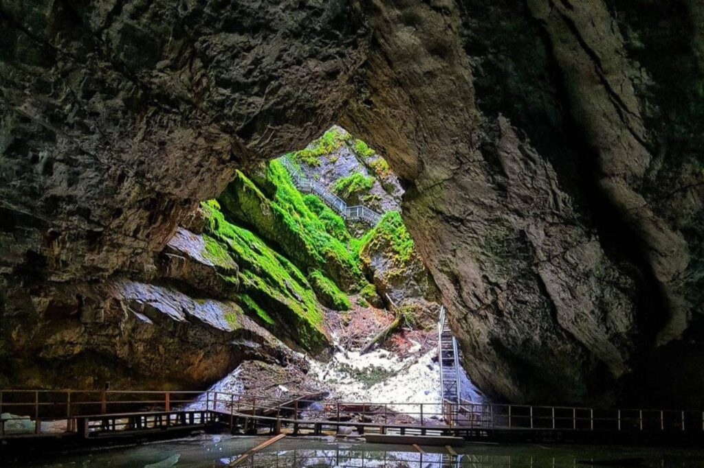 Ghețarul Scărișoara (5)