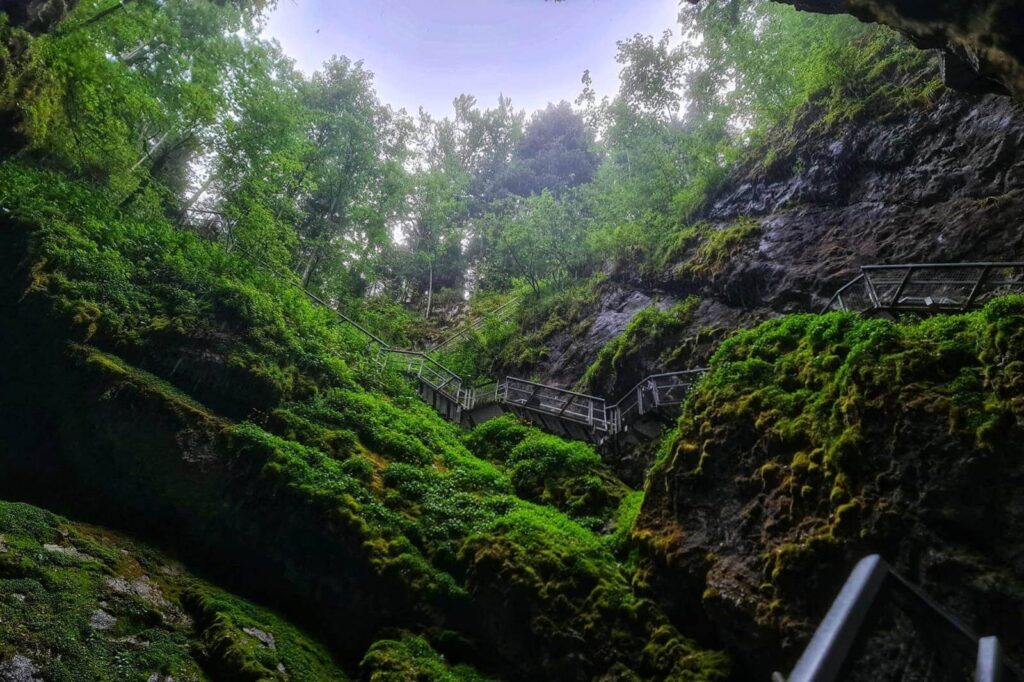 Ghețarul Scărișoara (6)