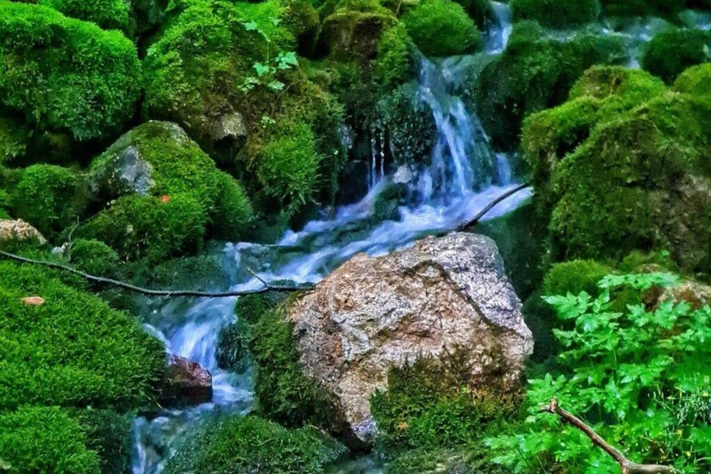 Izbucul Matisesti (1)