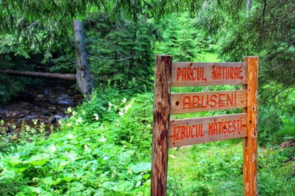 Izbucul Matisesti (3)