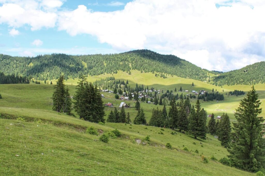Poiana Călineasa și biserica din vârf de munte (7)