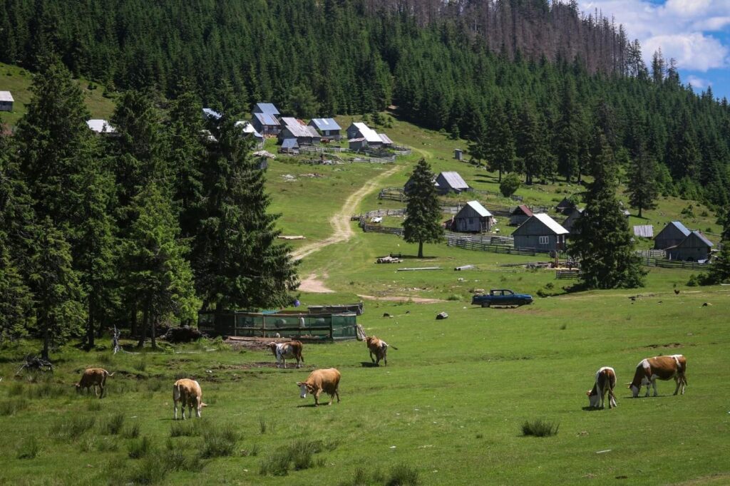 Poiana Călineasa și biserica din vârf de munte (9)