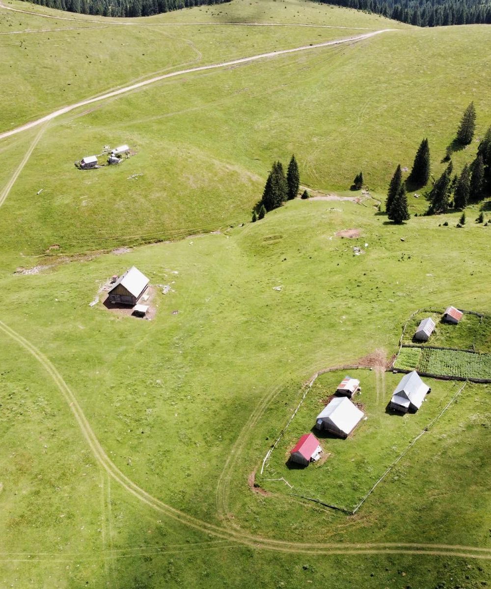 Poiana Mărșoaia (1)