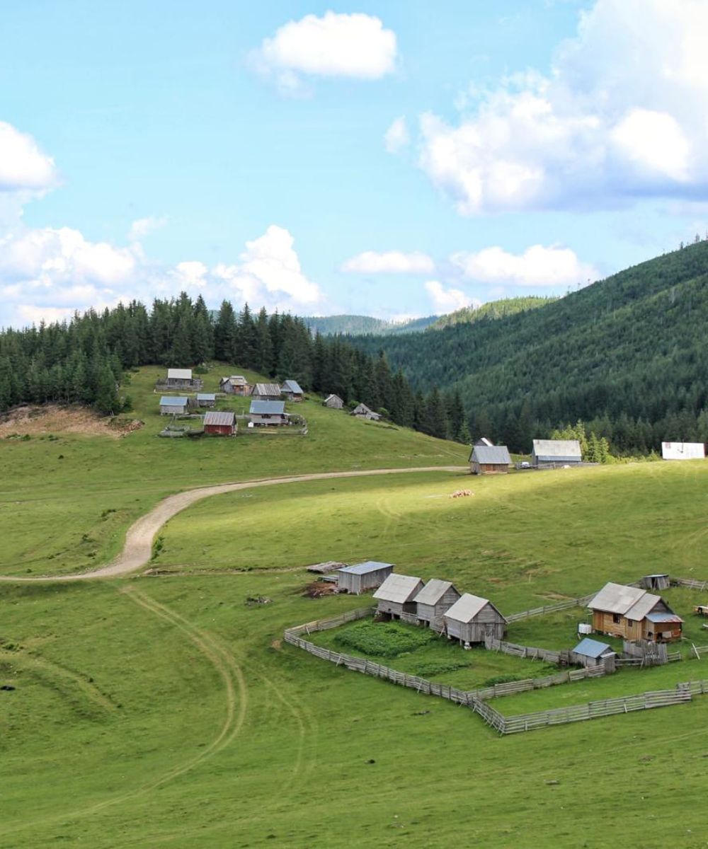 Poiana Mărșoaia (6)