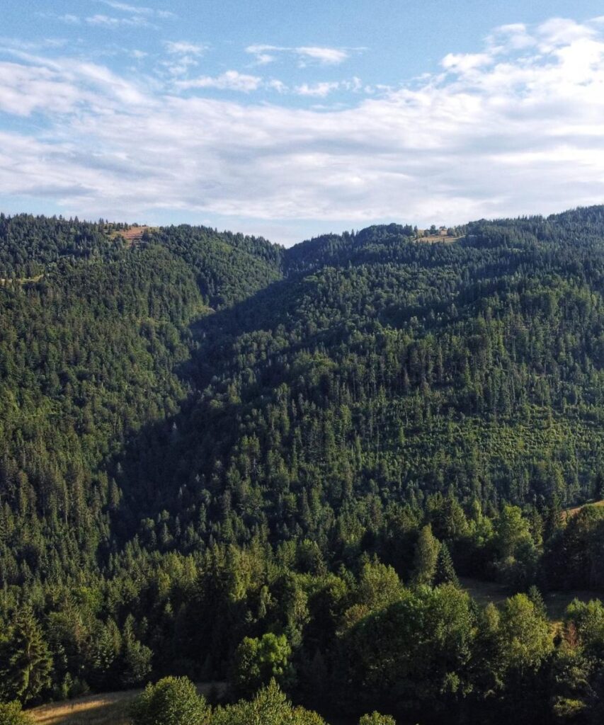 Punct de Belvedere Coltău (1)