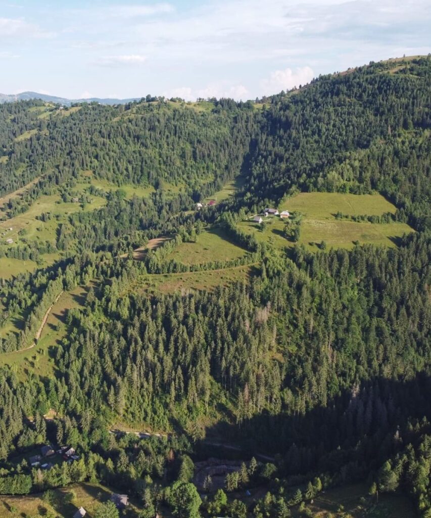 Punct de Belvedere Coltău (3)