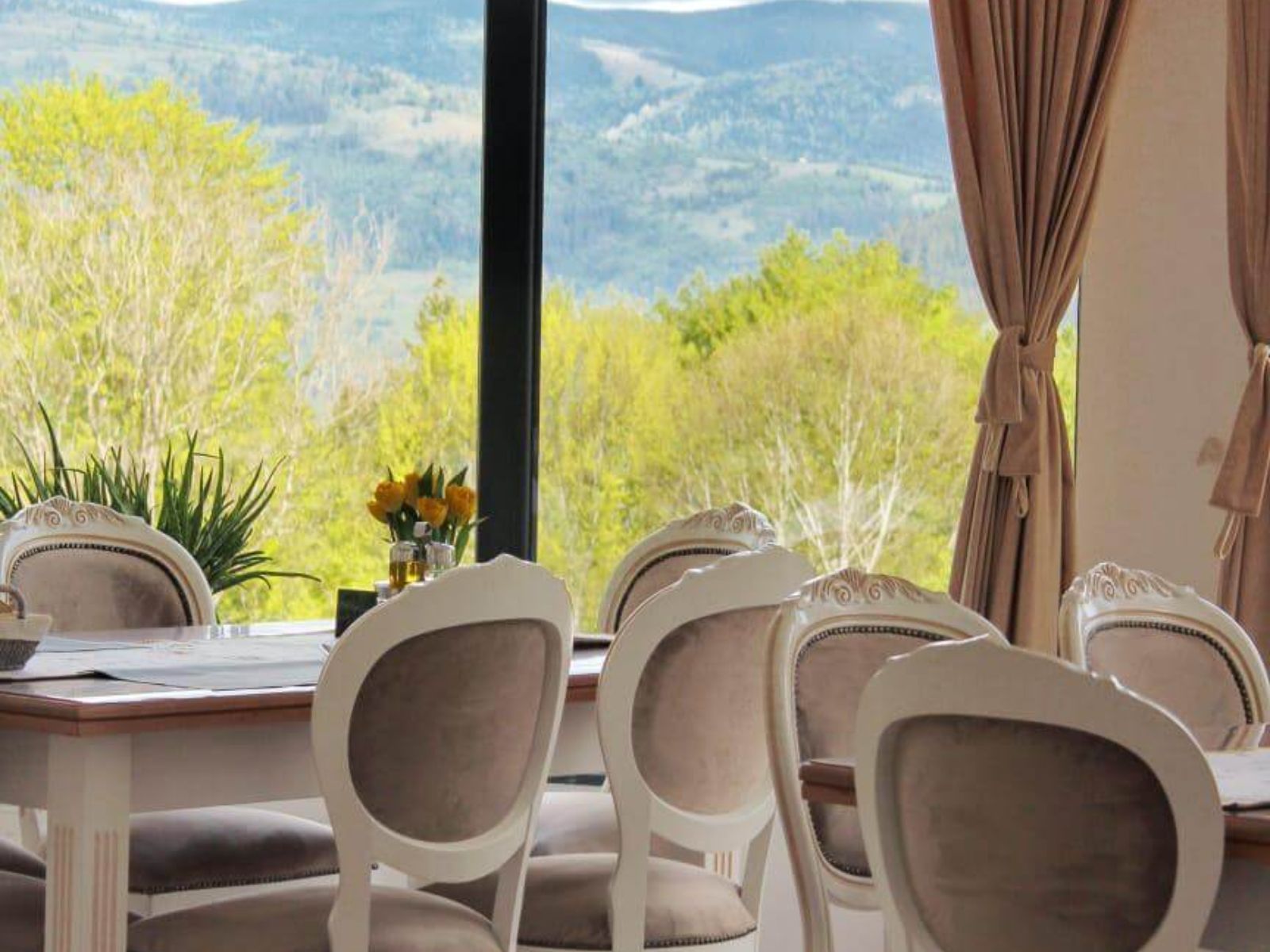 Restaurant Pensiunea Alexolar (6)