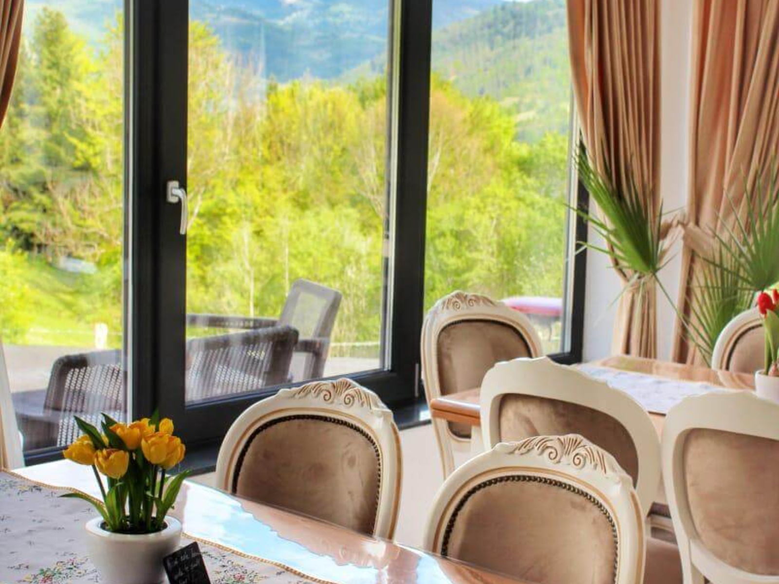 Restaurant Pensiunea Alexolar (7)