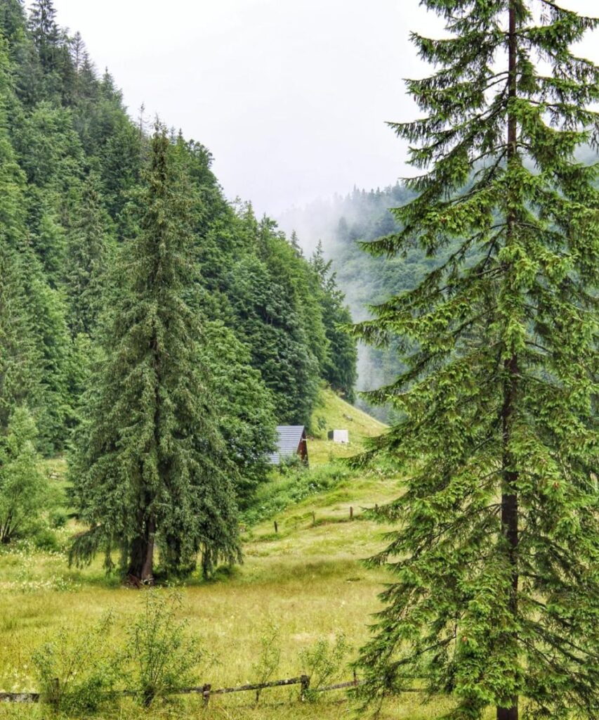Satul casa de piatră și Izbucul Tauz (2)