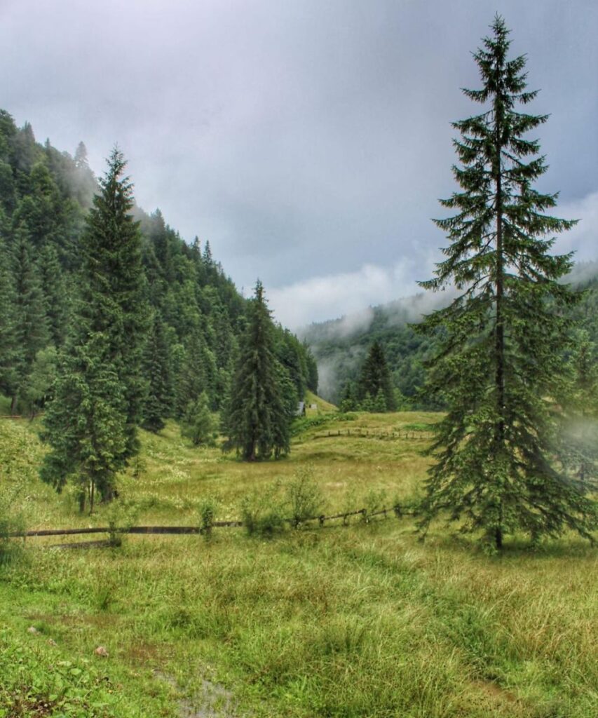 Satul casa de piatră și Izbucul Tauz (4)