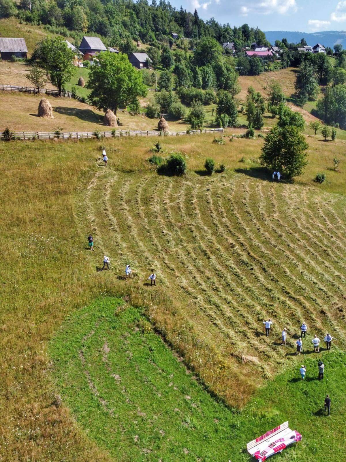 WhatsApp Image 2025-02-18 at 14.24.38 (2)