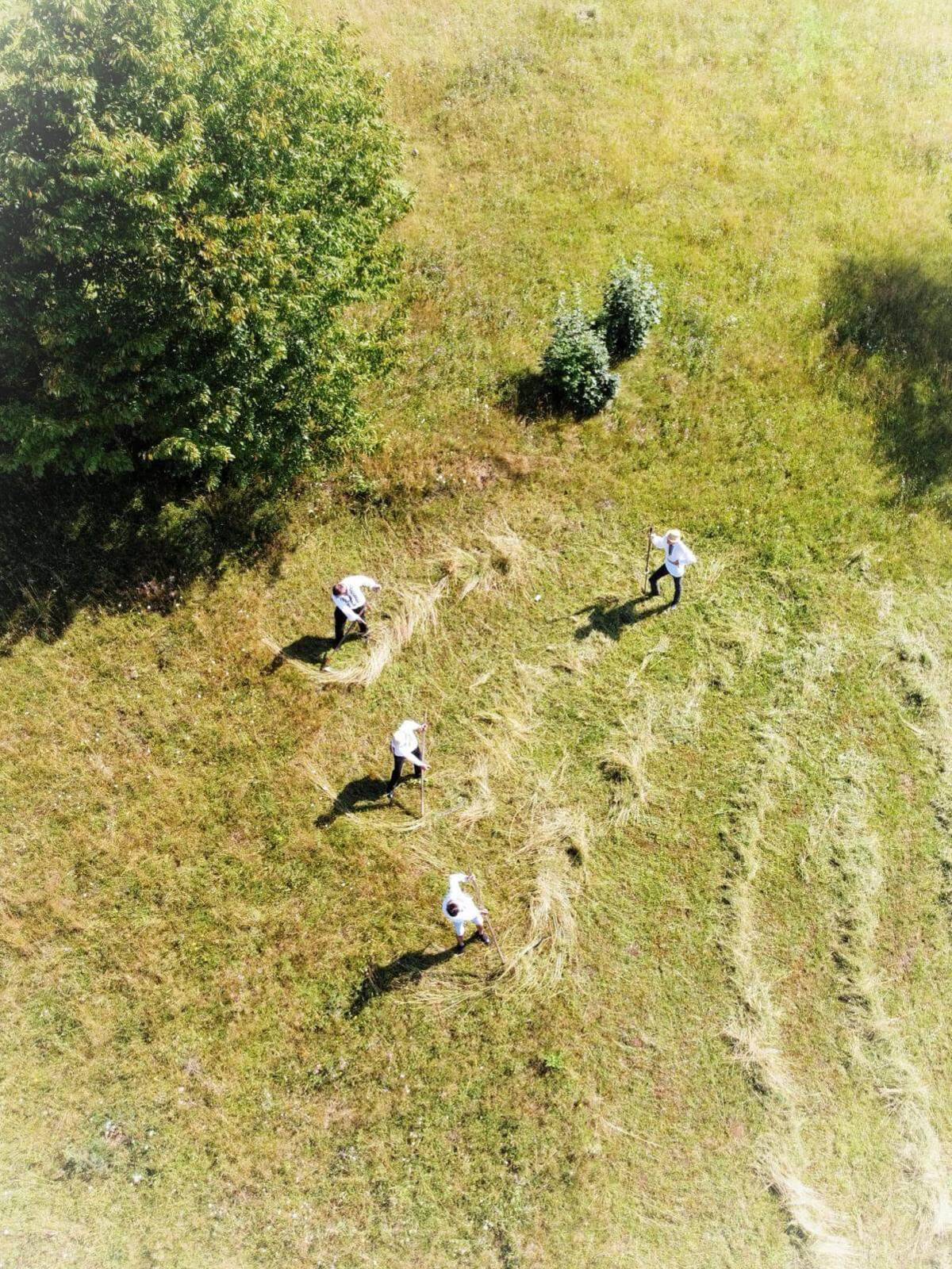 WhatsApp Image 2025-02-18 at 14.24.40