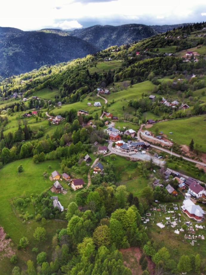 Paste_Pensiunea_Alexolar (15)